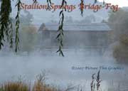 ssbridgefog
